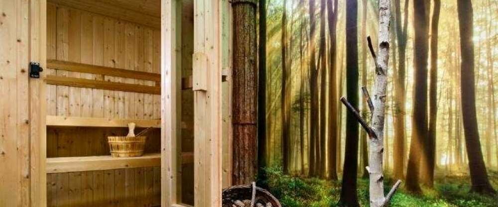 BIO-Tannenzapfensauna