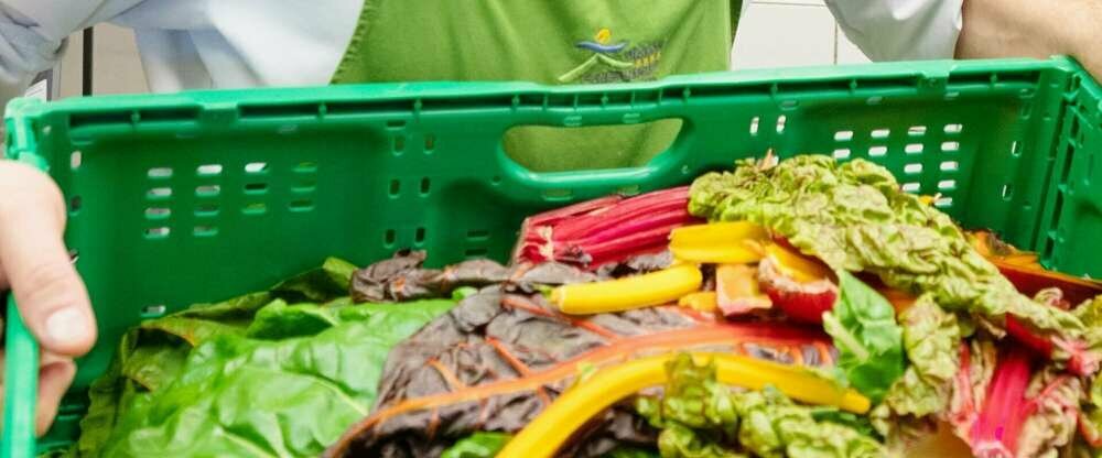 Regionale Bio-Produkte