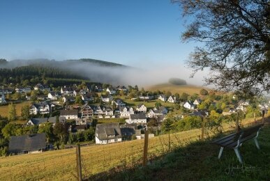 Birkenallee, Quelle: Gasthof Westfeld