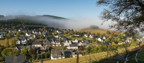 Birkenallee, Quelle: Gasthof Westfeld