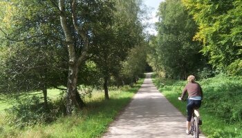 Radfahren Hochwald