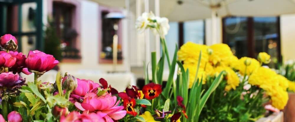 Blesius Garten - Biergarten