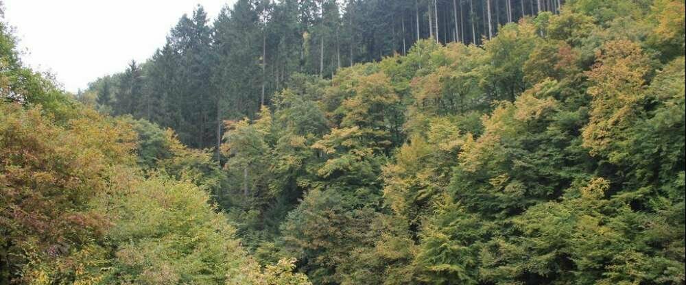 Blick aus dem Hotelzimmer