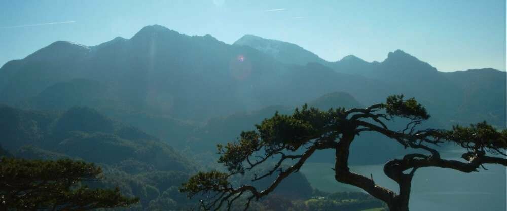 (c) Seehotel Grauer Bär