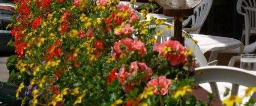 Blumen aud der Cafeterrasse