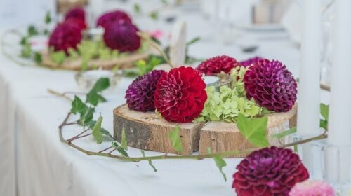 Blumendeko im Restaurant und Hotel. 