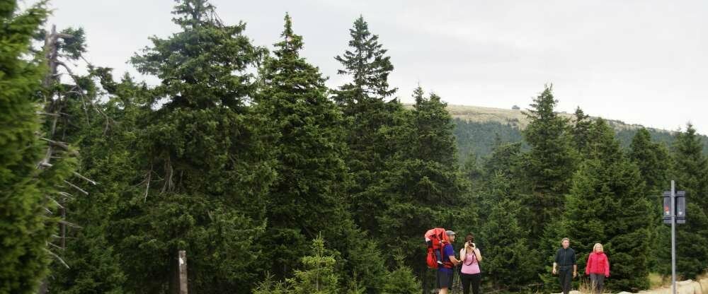 Brockenwanderung 
