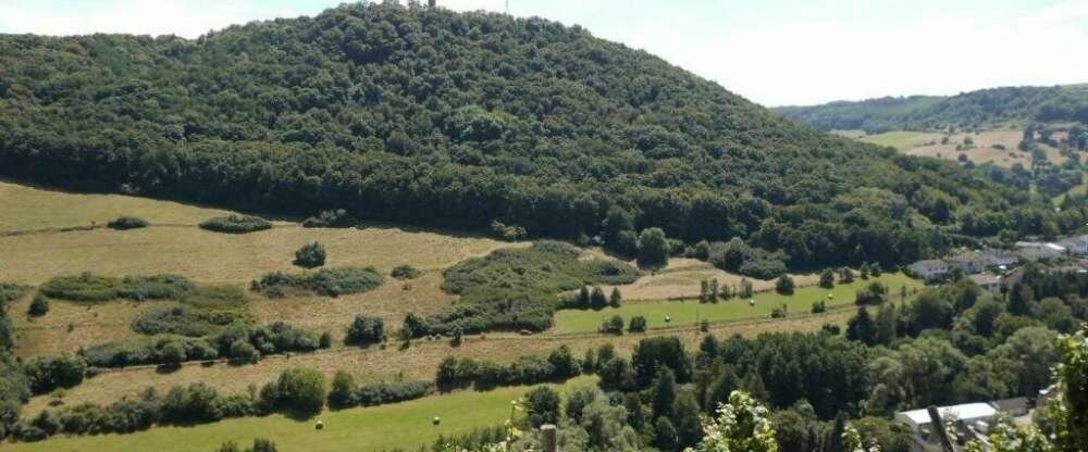 Burg-Hotel - Umgebung