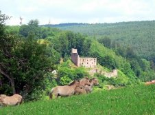 Burg Ruine Freienstein vor Ort