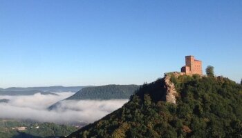 Burg Trifels 
