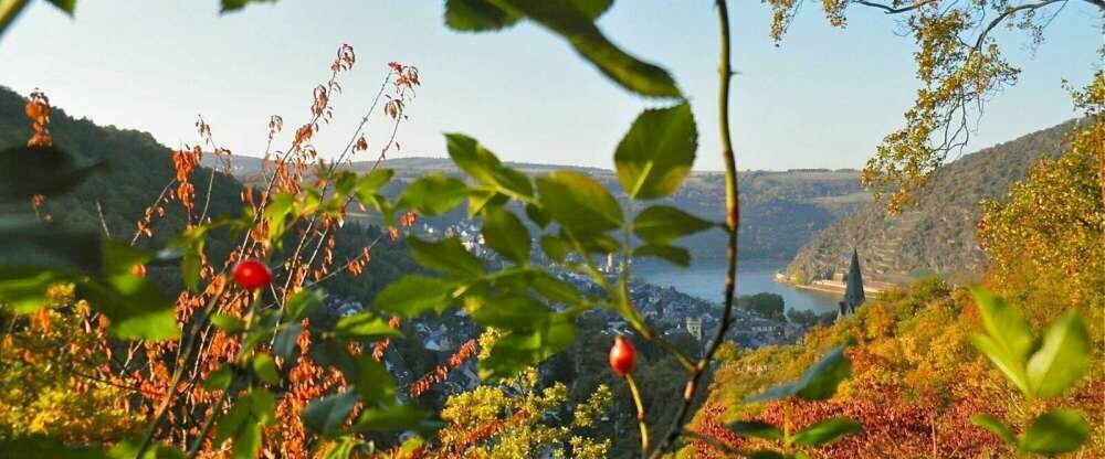 Burghotel "Auf Schönburg" - Terrasse/Außenbereich