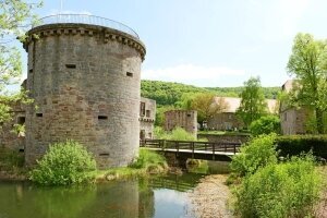 Burgruine