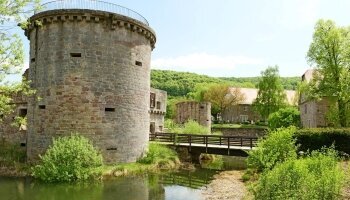 Burgruine