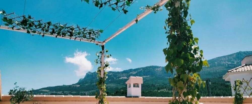 Casa Aloe - Hotel-Außenansicht