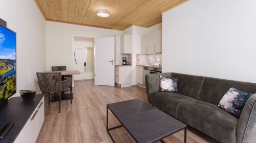 Chalet (ca. 40m²) für 2 Personen mit 1 Schlafzimmer (Doppelbett), Wohnbereich mit gemütlicher Sitzecke, komplett eingerichtete Küchenzeile, Waschmaschine mit Trockner, Essecke, möblierter Balkon / Terrasse, Dusche/WC, TV/Radio, Zimmersafe, kostenfreies W-