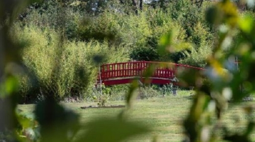 Château de Maubreuil - Terrasse/Außenbereich