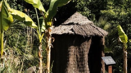 Château de Maubreuil - Terrasse/Außenbereich