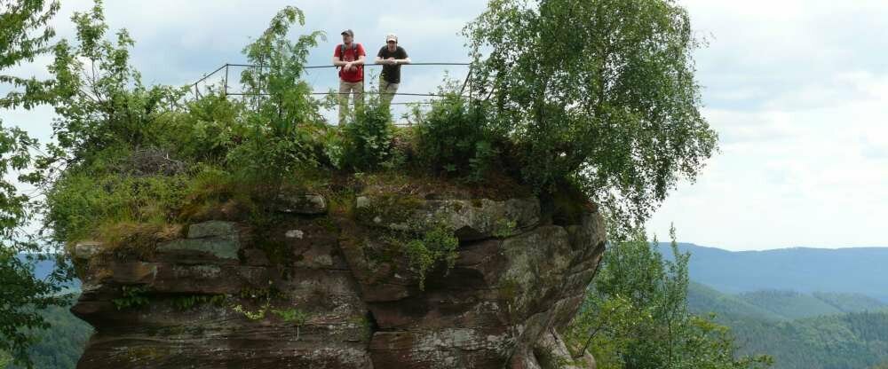 Ganz in der Nähe, das Dahner Felsenland