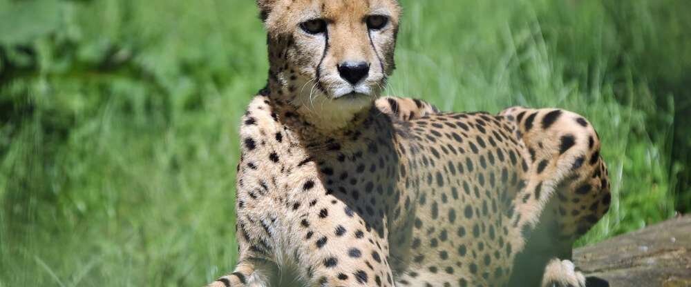 Das Hotel an der Stadthalle - Rostock Hbf - Hotel-Außenansicht