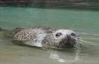 Das Hotel an der Stadthalle - Rostock Hbf - Hotel-Außenansicht