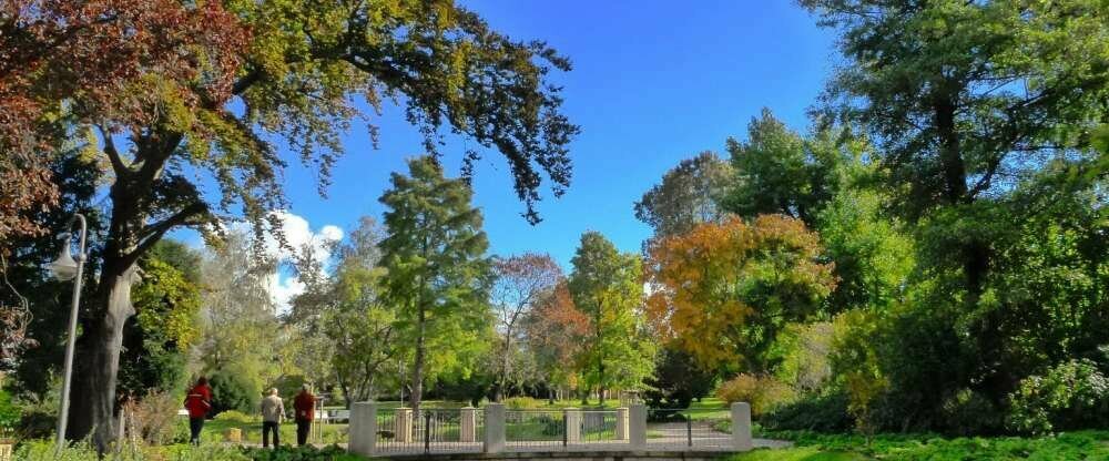 ...das grüne Herz der Stadt am Fuße des Hotels.