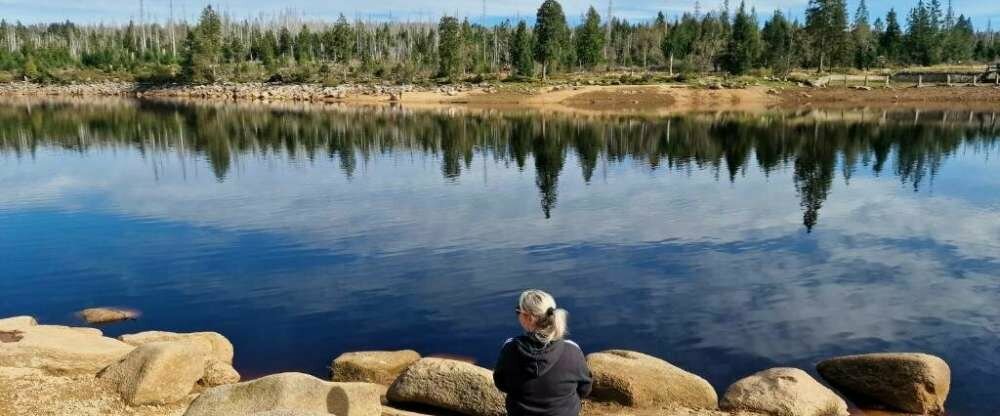 Der Wolfshof - Umgebung