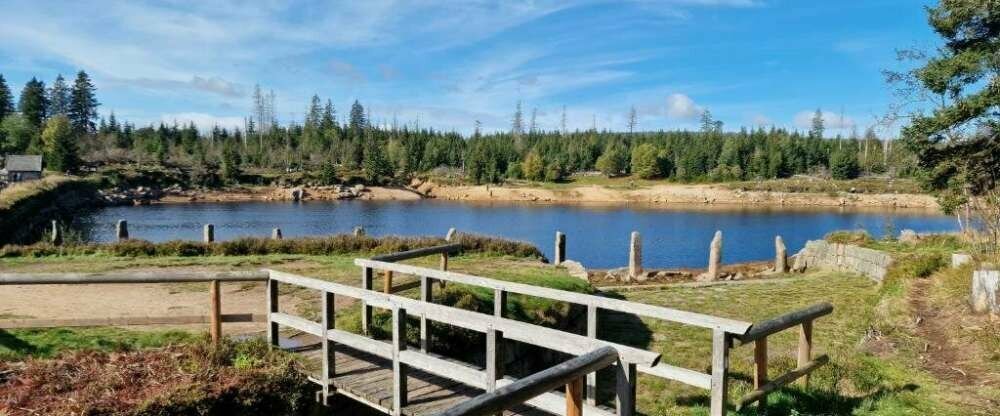 Der Wolfshof - Umgebung