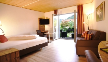 Großzügig geschnittene Doppelzimmer in ruhiger Lage mit Blick auf den Wald, Vinylboden, Sofa, Badewanne oder Dusche/ WC, TV, Fön, Kosmetikspiegel, Schreibtisch, Safe und Balkon oder Terrasse (über den Lift oder ebenerdig zu erreichen).