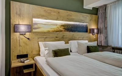 Nordseite mit Balkon oder Terrasse zur Bergseite, Dusche / WC, Haarfön im Bad, Telefon, Flat-TV, Safe, Wlan, 1 Flasche Mineralwasser, Nichtraucher, Allergiker freundlich.