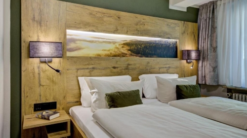 Nordseite mit Balkon oder Terrasse zur Bergseite, Dusche / WC, Haarfön im Bad, Telefon, Flat-TV, Safe, Wlan, 1 Flasche Mineralwasser, Nichtraucher, Allergiker freundlich.