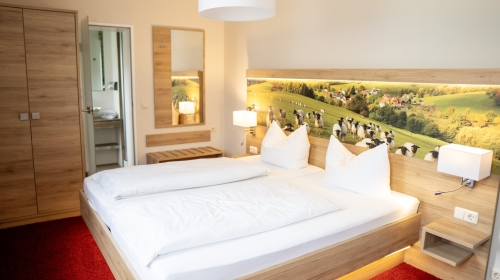 Doppelzimmer für 2 Personen mit Standard Ausstattung