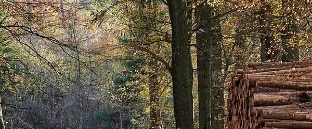 Fletcher Hotel-Restaurant Arnsberg-Sauerland - Umgebung