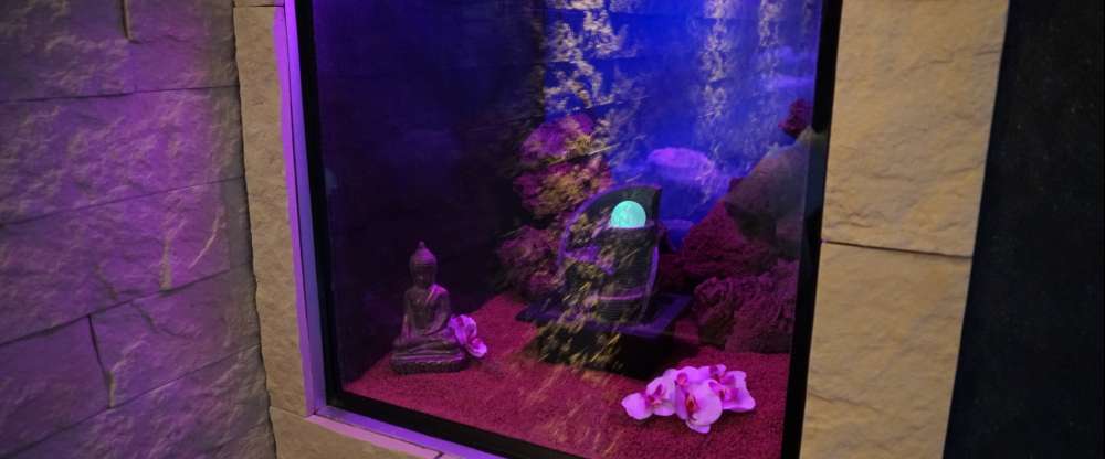 Dream Night Suite 1 - Aquarium