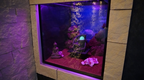 Dream Night Suite 1 - Aquarium