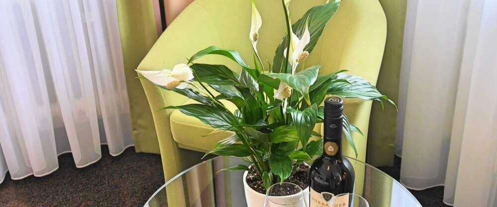 Dreibettzimmer Superior