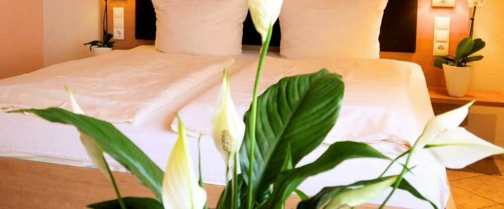 Einzelzimmer und Doppelzimmer Superior