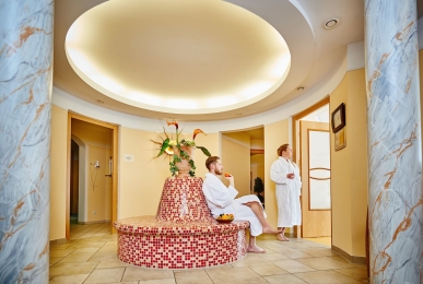 Array, Quelle: Wellness-Hotel Bayerwald-Residenz