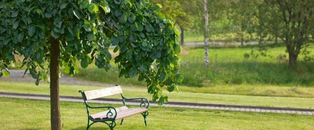 Erzgebirge im Sommer