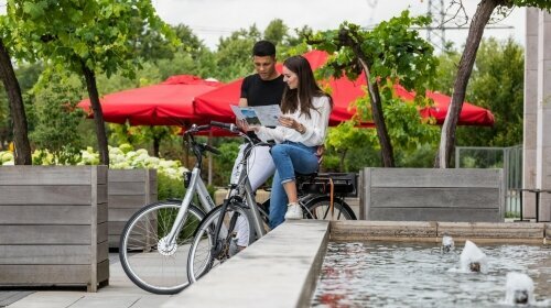 Fahrrad