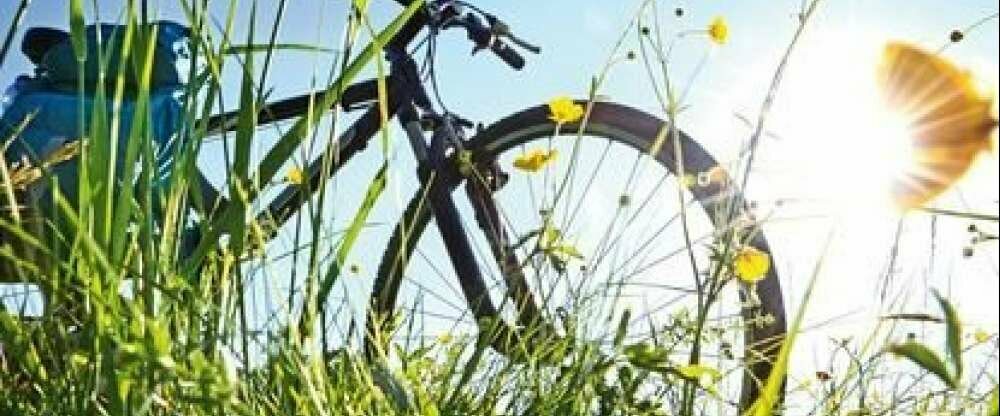 Fahrradiesisches Emsland