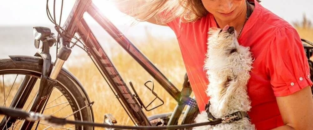 In der Sommerzeit laden warme Temperaturen zu ausgiebigen Strandspaziergängen mit eurem Vierbeiner ein. Milde Temperaturen im Herbst sind prädestiniert für Wanderungen und Fahrradtouren entlang unserer Küste oder ins Landesinnere.