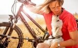 In der Sommerzeit laden warme Temperaturen zu ausgiebigen Strandspaziergängen mit eurem Vierbeiner ein. Milde Temperaturen im Herbst sind prädestiniert für Wanderungen und Fahrradtouren entlang unserer Küste oder ins Landesinnere.
