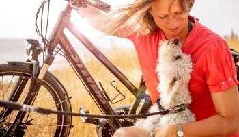 In der Sommerzeit laden warme Temperaturen zu ausgiebigen Strandspaziergängen mit eurem Vierbeiner ein. Milde Temperaturen im Herbst sind prädestiniert für Wanderungen und Fahrradtouren entlang unserer Küste oder ins Landesinnere.