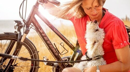 In der Sommerzeit laden warme Temperaturen zu ausgiebigen Strandspaziergängen mit eurem Vierbeiner ein. Milde Temperaturen im Herbst sind prädestiniert für Wanderungen und Fahrradtouren entlang unserer Küste oder ins Landesinnere.