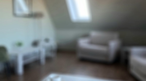 Das Familienzimmer besteht aus einem Wohn-Schlafbereich mit Esstisch und Schlafcouch sowie einem separaten Schlafzimmer. eine weitere Aufbettung ist möglich.