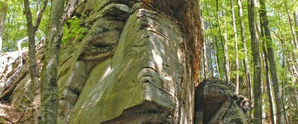 Felsenlandschaft in den heimischen Wäldern