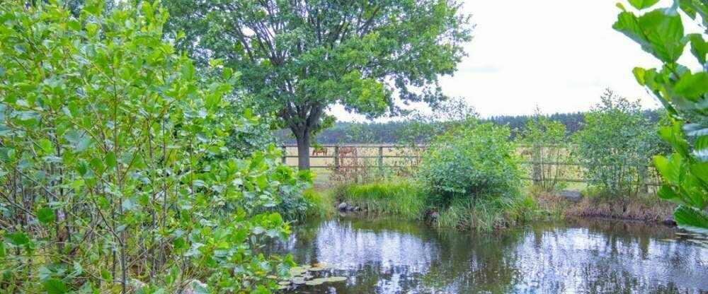 Ferien Hotel Fläming - Garten