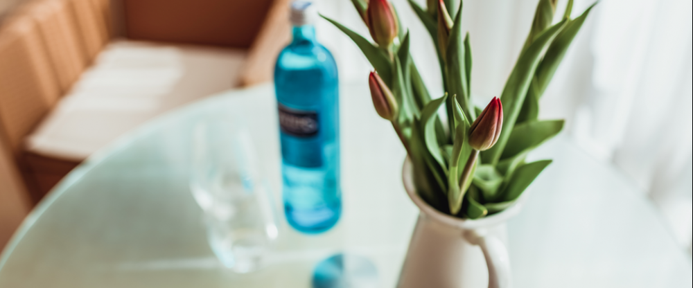 Ferien Hotel Lewitz Mühle - Zimmer