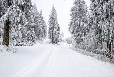 Array, Quelle: Ferien Hotel Rennsteigblick