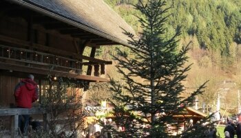 Ferienwohnung Nordrachtal - Umgebung